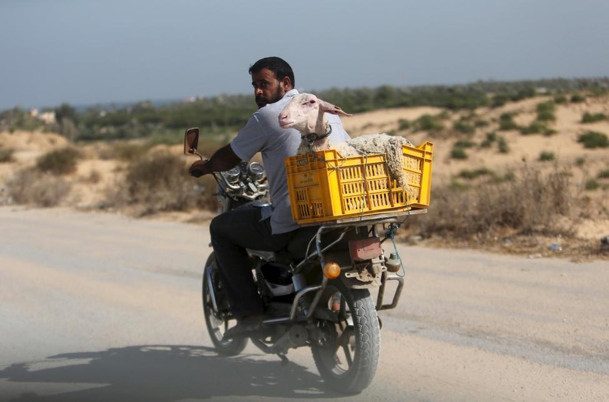 Nguoi Hoi giao tren khap the gioi don le Eid al-Adha-Hinh-17